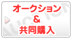 美顔器のオークション・共同購入